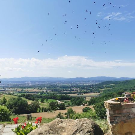 Al Podere Del Nonno Romolo Sansepolcro Exterior photo