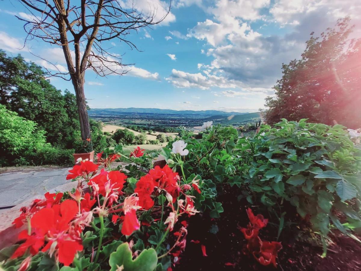 Al Podere Del Nonno Romolo Sansepolcro Exterior photo