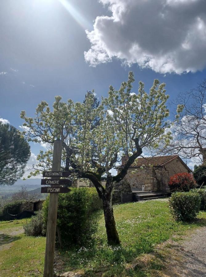 Al Podere Del Nonno Romolo Sansepolcro Exterior photo
