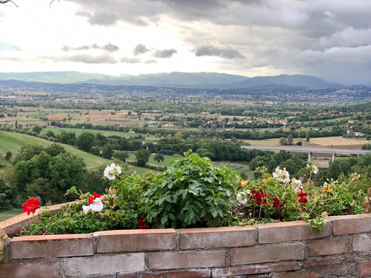 Al Podere Del Nonno Romolo Sansepolcro Exterior photo